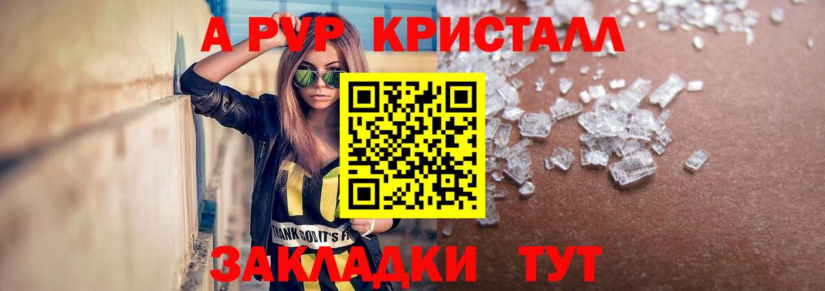 A-PVP СК Сыктывкар