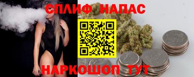 ECSTASY Новокубанск