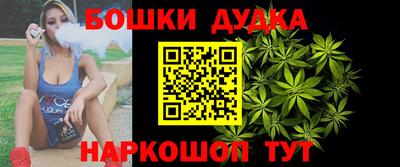 дмт Новодвинск