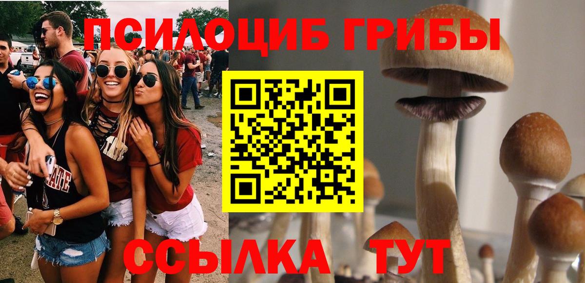 Псилоцибиновые грибы Magic Shrooms  Вход с VPN  Сыктывкар  Галлюциногенные грибы ЛСД 